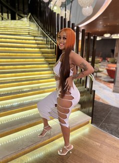 Scarlet B just landed - puta in Doha Photo 4 of 5