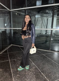 Scarlet B just landed - puta in Doha Photo 3 of 4