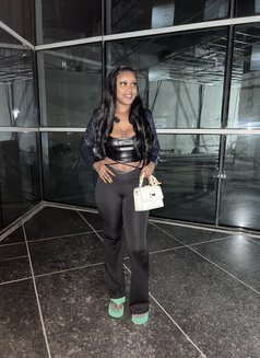 Scarlet B just landed - puta in Doha Photo 4 of 4