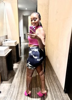 Scarlet B just landed - puta in Doha Photo 4 of 4