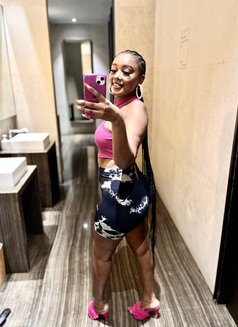 Scarlet B just landed - puta in Doha Photo 4 of 4