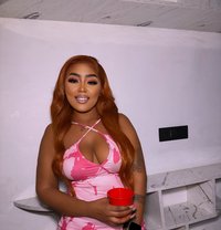 Scarlet B just landed - escort in Doha