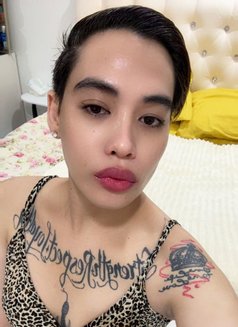 Scarlet Envy - Male escort in Riyadh Photo 10 of 10