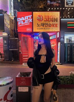 Scarlet Grey - escort in Taipei Photo 11 of 12