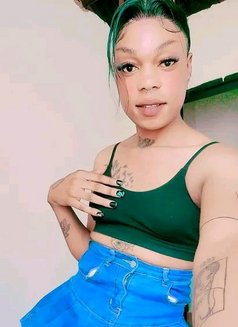 Scarlet - Acompañantes transexual in Johannesburg Photo 10 of 10