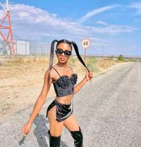 Scarlet - Acompañantes transexual in Pretoria