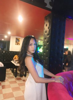 Scarlets Secret - Transsexual escort in Angeles City Photo 2 of 6