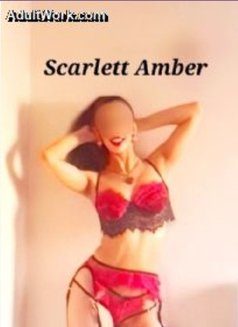 Scarlett Amber - companion in Manchester Photo 12 of 12