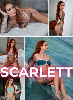 Scarlett - puta in Cape Town Photo 1 of 30