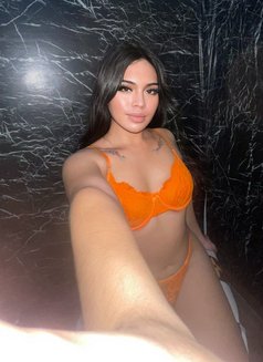 Scarlette - Transsexual escort in Cebu City Photo 13 of 13