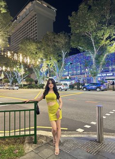 Scrazy horse - Acompañantes transexual in Dubai Photo 28 of 30