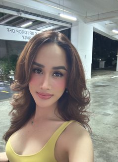 Scrazy horse - Transsexual escort in Singapore Photo 28 of 29