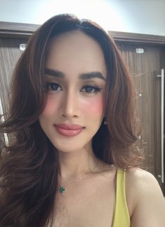 Scrazy horse - Transsexual escort in Singapore Photo 29 of 29