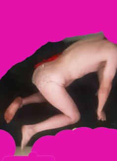 Secret Sissy or Gentleman Farang Slut - Acompañantes masculino in Pattaya Photo 5 of 15