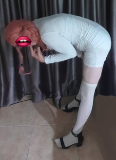 Secret Sissy or Gentleman Farang Slut - Acompañantes masculino in Pattaya Photo 8 of 15
