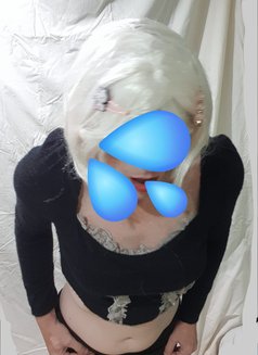 Secret Sissy or Gentleman Farang Slut - Acompañantes masculino in Pattaya Photo 9 of 15