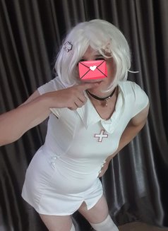 Secret Sissy or Gentleman Farang Slut - Acompañantes masculino in Pattaya Photo 10 of 15