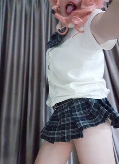 Secret Sissy or Gentleman Farang Slut - Acompañantes masculino in Pattaya Photo 12 of 15