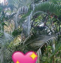 Seducer Rocky - Acompañantes masculino in Pune