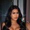 Coquettish Danica Porn Star Experience - escort in Kuala Lumpur