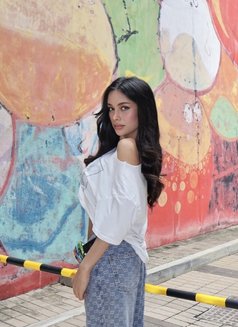 Pornstar Experience Kaitlyn 🇨🇴 - escort in Taipei Photo 16 of 17