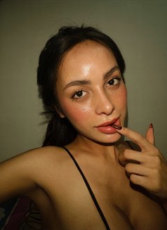 Pornstar Experience Kaitlyn 🇨🇴 - escort in Taipei Photo 5 of 17