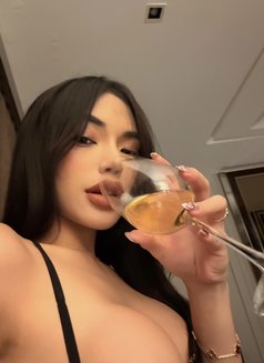 Seductive Kassandrakate (GFE) - Transsexual escort in Pattaya Photo 29 of 30