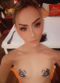 Seductress miya🇸🇬🇲🇴🇭🇰🇨🇳🇵🇭🇹🇭 - Transsexual escort in Bangkok Photo 24 of 29