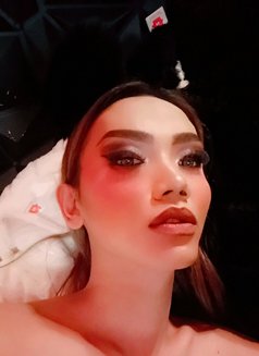 Seductress miya🇸🇬🇲🇴🇭🇰🇨🇳🇵🇭🇹🇭 - Transsexual escort in Bangkok Photo 26 of 29