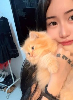 Sehee - escort in Manila Photo 2 of 2