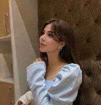 Şeherizade - Acompañantes transexual in İstanbul