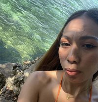 Seiyah - Transsexual escort in Boracay