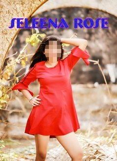 Seleena Independent (Cam/Meet) - escort in Colombo Photo 25 of 28