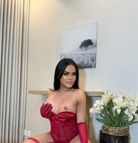 Selena big top VIP - Transsexual escort in Riyadh Photo 15 of 15