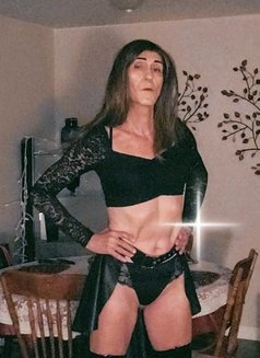 Selena Diamond - Transsexual escort in Halifax Photo 14 of 24