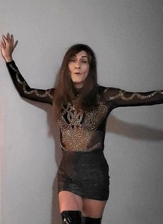 Selena Diamond - Transsexual escort in Halifax Photo 18 of 24