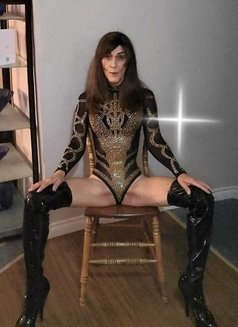 Selena Diamond - Transsexual escort in Halifax Photo 19 of 24