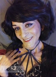 Selena Diamond - Transsexual escort in Halifax Photo 21 of 24
