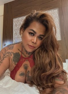 HORNY BUSTY MILF - Selena , indonesian . - escort in Bangkok Photo 4 of 6