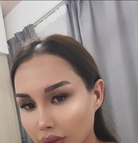 Xonzoda - Acompañantes transexual in Tashkent