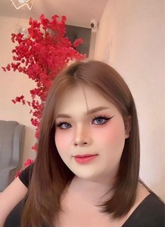 ladyboy Thailand - Transsexual escort in Khobar Photo 1 of 4