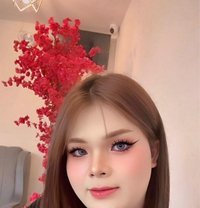 ladyboy Thailand - Acompañantes transexual in Khobar