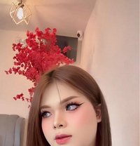 ladyboy Thailand - Transsexual escort in Khobar