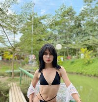 Selenexxx - Acompañantes transexual in Bangkok