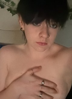 Selenia - puta in Erbil Photo 1 of 3