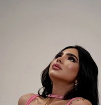 Monika - Transsexual escort in Jeddah Photo 13 of 17