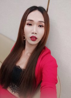 Sella - Transsexual escort in Ho Chi Minh City Photo 1 of 9