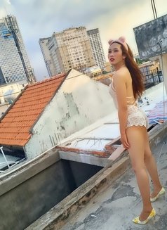 Sella Yen Vy - Transsexual escort in Ho Chi Minh City Photo 28 of 30