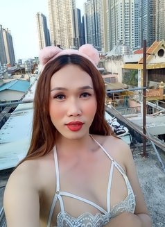 Sella Yen Vy - Transsexual escort in Ho Chi Minh City Photo 30 of 30