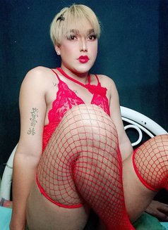 Mistress Nanno (CUM SHOW/SEX VIDEOS) - Transsexual escort in Hong Kong Photo 3 of 8